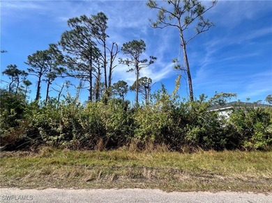 Beach Lot For Sale in Port Charlotte, Florida