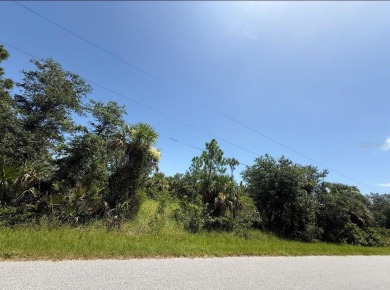 Beach Lot For Sale in Port Charlotte, Florida