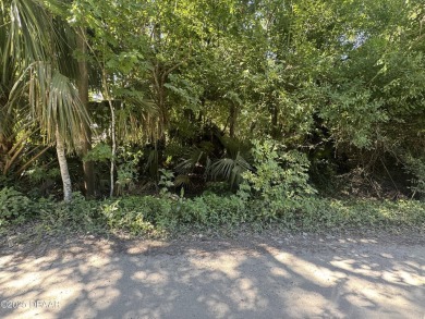 Beach Lot For Sale in Ormond Beach, Florida