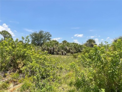 Beach Lot For Sale in Port Charlotte, Florida