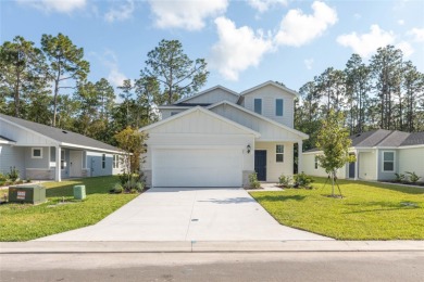 Beach Home For Sale in Palm Coast, Florida