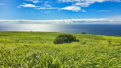 Beach Acreage For Sale in Naalehu, Hawaii