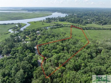 Beach Acreage For Sale in Richmond Hill, Georgia