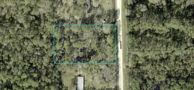 Beach Lot For Sale in Bunnell, Florida