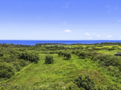 Beach Acreage For Sale in Kapaau, Hawaii