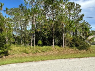 Beach Lot For Sale in Palm Coast, Florida