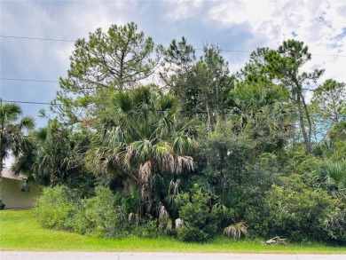 Beach Lot For Sale in Palm Coast, Florida