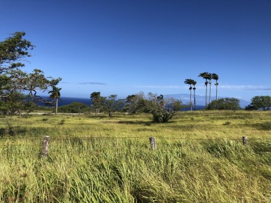 Beach Acreage For Sale in Hawi, Hawaii