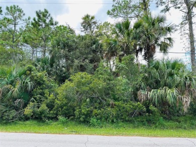 Beach Lot Sale Pending in Palm Coast, Florida