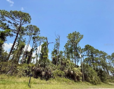 Beach Lot Sale Pending in North Port, Florida