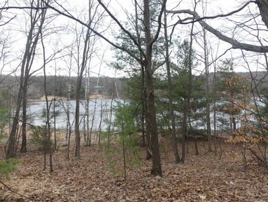 Beach Acreage For Sale in Shelby, Michigan