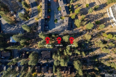 Beach Lot For Sale in Glenbrook, Nevada