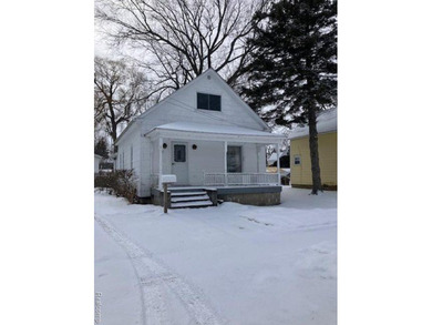 Beach Home For Sale in Harbor Beach, Michigan