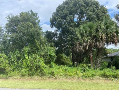 Beach Lot For Sale in Palm Coast, Florida