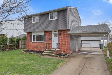 Beach Home For Sale in Eastlake, Ohio