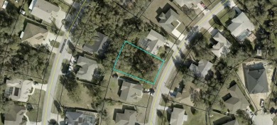 Beach Lot Sale Pending in Palm Coast, Florida