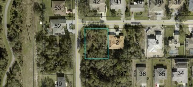 Beach Lot For Sale in Palm Coast, Florida