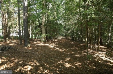 Beach Lot For Sale in Hartfield, Virginia