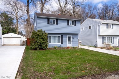Beach Home For Sale in Eastlake, Ohio
