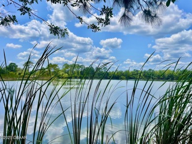 Beach Acreage Sale Pending in Mims, Florida