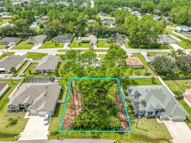 Beach Lot Sale Pending in Palm Coast, Florida