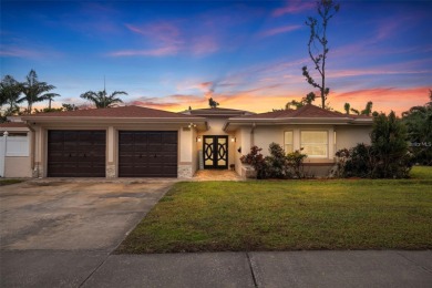 Beach Home For Sale in St. Petersburg, Florida