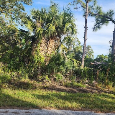 Beach Lot Sale Pending in Port Charlotte, Florida