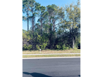 Beach Lot For Sale in Palm Coast, Florida