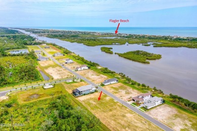 Beach Lot For Sale in Flagler Beach, Florida