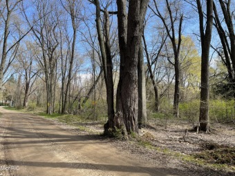 Beach Lot Off Market in Coloma, Michigan