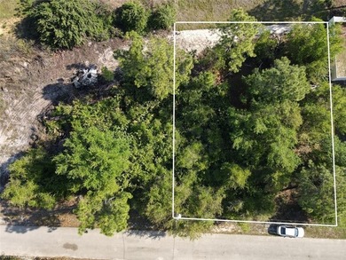 Beach Lot For Sale in Lehigh Acres, Florida