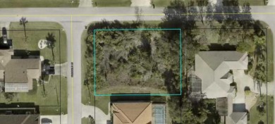 Beach Lot For Sale in Palm Coast, Florida