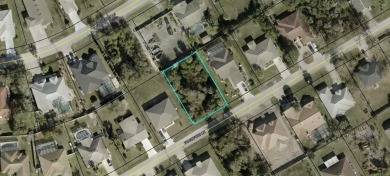Beach Lot Sale Pending in Palm Coast, Florida