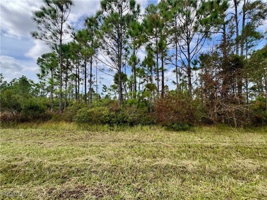 Beach Lot For Sale in Port Charlotte, Florida