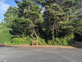 Beach Lot Off Market in Florence, Oregon