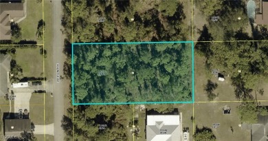 Beach Lot Sale Pending in Lehigh Acres, Florida