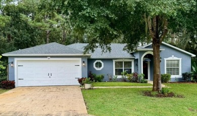 Beach Home Sale Pending in Palm Coast, Florida