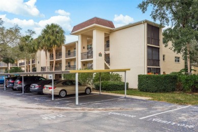 Beach Condo For Sale in Dunedin, Florida