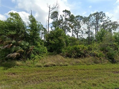 Beach Lot For Sale in Port Charlotte, Florida