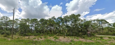 Beach Lot For Sale in Port Charlotte, Florida