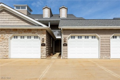 Beach Condo For Sale in Vermilion, Ohio