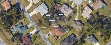 Beach Lot Sale Pending in Palm Coast, Florida