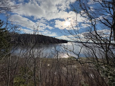Beach Acreage For Sale in Machiasport, Maine
