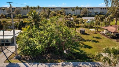 Beach Lot For Sale in Naples, Florida