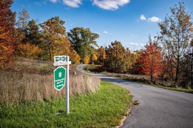 Beach Acreage For Sale in Onekama, Michigan