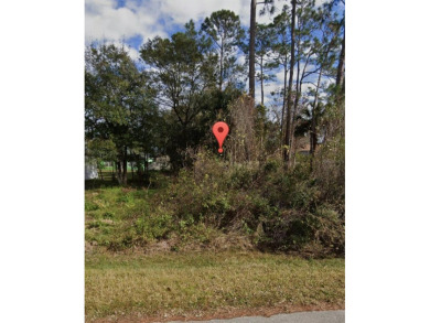 Beach Lot For Sale in Palm Coast, Florida