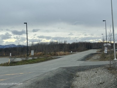 Beach Acreage For Sale in Wasilla, Alaska