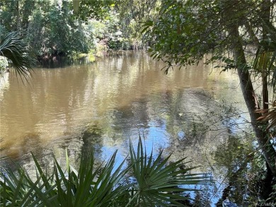 Beach Lot Off Market in Inglis, Florida