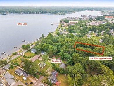 Beach Lot For Sale in Whitehall, Michigan