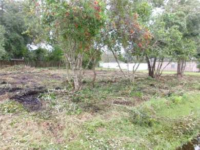 Beach Lot For Sale in Palm Coast, Florida